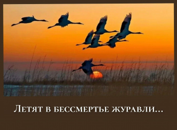 "Летят в бессмертье журавли..."